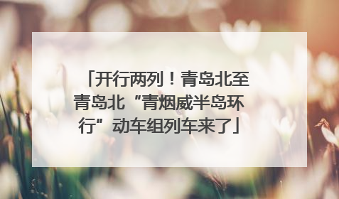 开行两列！青岛北至青岛北“青烟威半岛环行”动车组列车来了