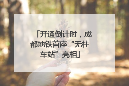 开通倒计时，成都地铁首座“无柱车站”亮相