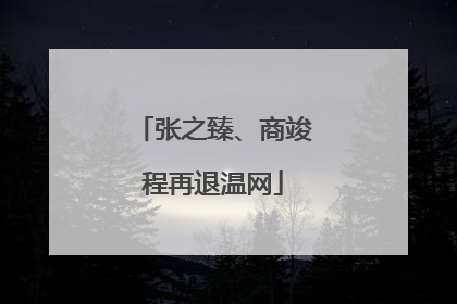 张之臻、商竣程再退温网
