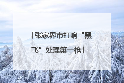 张家界市打响“黑飞”处理第一枪