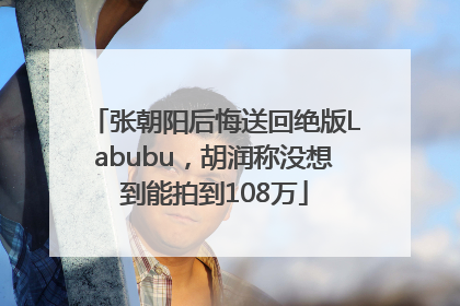 张朝阳后悔送回绝版Labubu，胡润称没想到能拍到108万