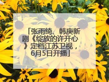 张雨绮、韩庚新剧《绽放的许开心》定档江苏卫视，6月5日开播