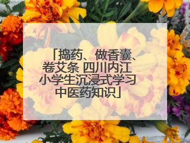 捣药、做香囊、卷艾条 四川内江小学生沉浸式学习中医药知识