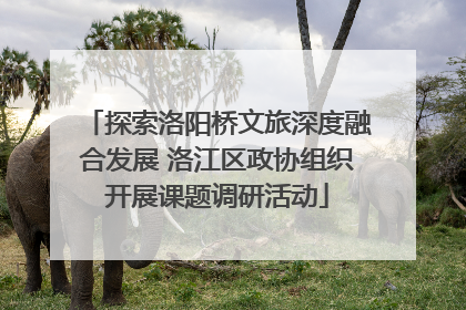 探索洛阳桥文旅深度融合发展 洛江区政协组织开展课题调研活动