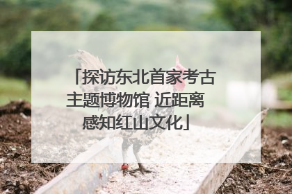 探访东北首家考古主题博物馆 近距离感知红山文化