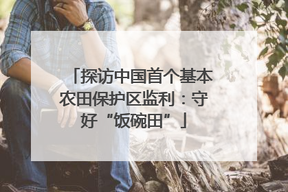 探访中国首个基本农田保护区监利：守好“饭碗田”