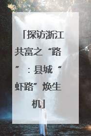 探访浙江共富之“路”：县城“虾路”焕生机