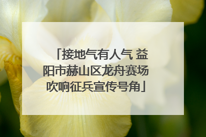 接地气有人气 益阳市赫山区龙舟赛场吹响征兵宣传号角