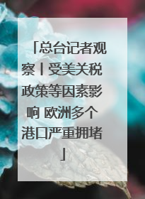 总台记者观察丨受美关税政策等因素影响 欧洲多个港口严重拥堵