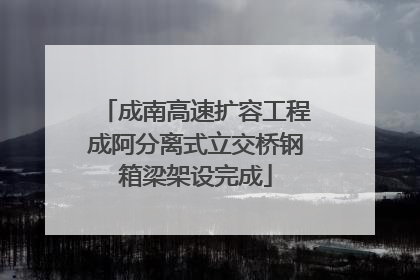 成南高速扩容工程成阿分离式立交桥钢箱梁架设完成