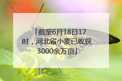 截至6月18日17时，河北省小麦已收获3000余万亩
