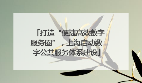 打造“便捷高效数字服务圈”，上海启动数字公共服务体系建设
