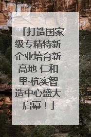 打造国家级专精特新企业培育新高地 仁和里·杭实智造中心盛大启幕！