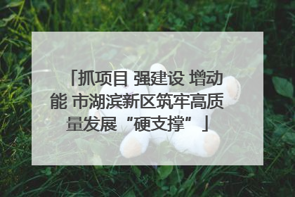 抓项目 强建设 增动能 市湖滨新区筑牢高质量发展“硬支撑”
