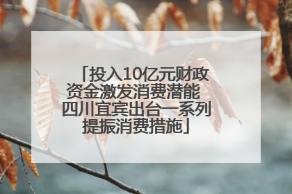 投入10亿元财政资金激发消费潜能 四川宜宾出台一系列提振消费措施