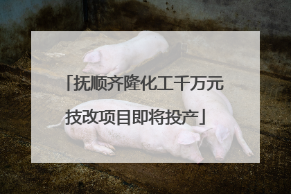 抚顺齐隆化工千万元技改项目即将投产