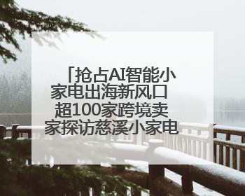抢占AI智能小家电出海新风口 超100家跨境卖家探访慈溪小家电产业带