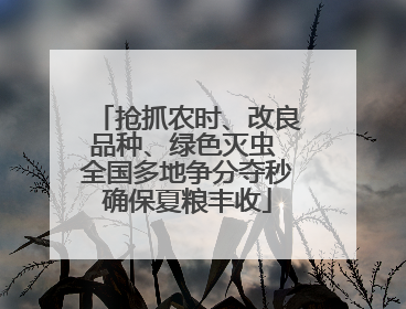 抢抓农时、改良品种、绿色灭虫 全国多地争分夺秒确保夏粮丰收