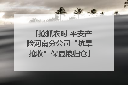 抢抓农时 平安产险河南分公司“抗旱抢收”保夏粮归仓