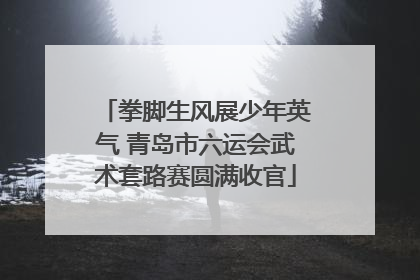 拳脚生风展少年英气 青岛市六运会武术套路赛圆满收官