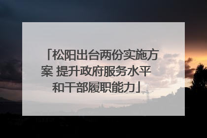 松阳出台两份实施方案 提升政府服务水平和干部履职能力