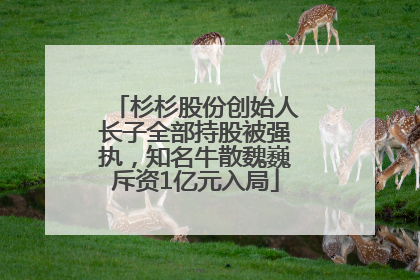 杉杉股份创始人长子全部持股被强执，知名牛散魏巍斥资1亿元入局