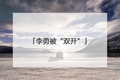 李勇被“双开”