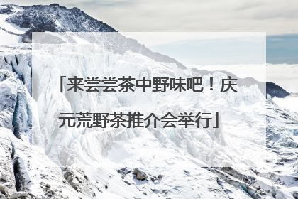 来尝尝茶中野味吧！庆元荒野茶推介会举行