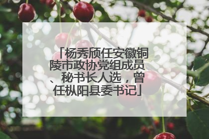 杨秀颀任安徽铜陵市政协党组成员、秘书长人选，曾任枞阳县委书记