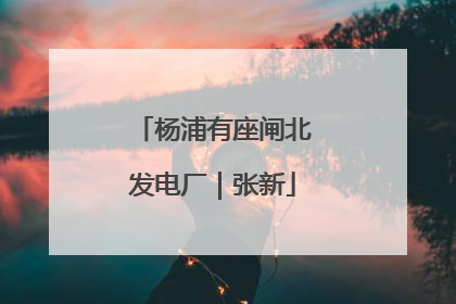 杨浦有座闸北发电厂｜张新