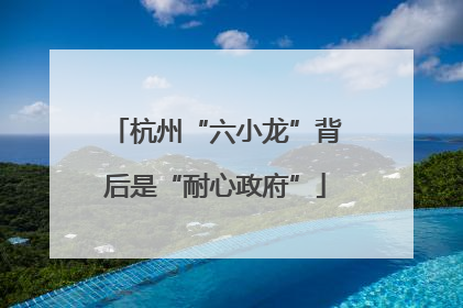 杭州“六小龙”背后是“耐心政府”