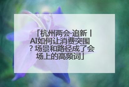 杭州两会·追新丨AI如何让消费突围？场景和路径成了会场上的高频词