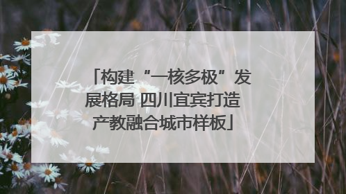 构建“一核多极”发展格局 四川宜宾打造产教融合城市样板