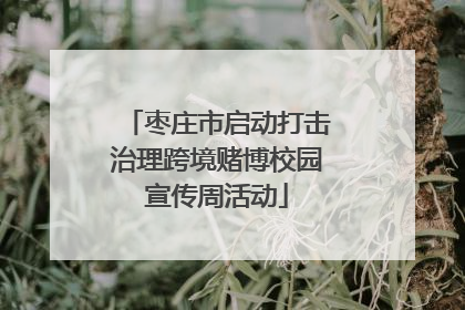 枣庄市启动打击治理跨境赌博校园宣传周活动