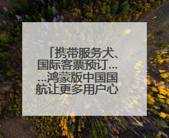 携带服务犬、国际客票预订……鸿蒙版中国国航让更多用户心愿成真