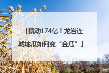 撬动174亿！龙岩连城地瓜如何变“金瓜”