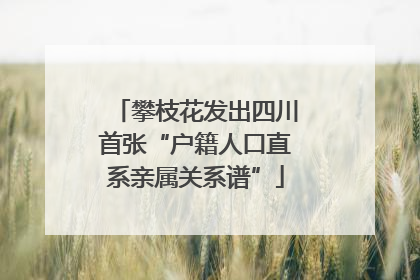 攀枝花发出四川首张“户籍人口直系亲属关系谱”
