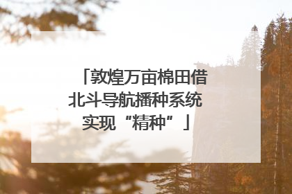 敦煌万亩棉田借北斗导航播种系统实现“精种”