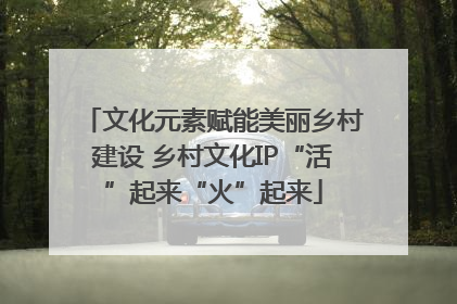 文化元素赋能美丽乡村建设 乡村文化IP“活”起来“火”起来