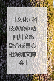 文化+科技双轮驱动 四川文旅融合成果亮相深圳文博会