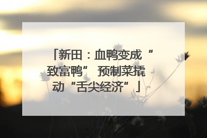新田：血鸭变成“致富鸭” 预制菜撬动“舌尖经济”