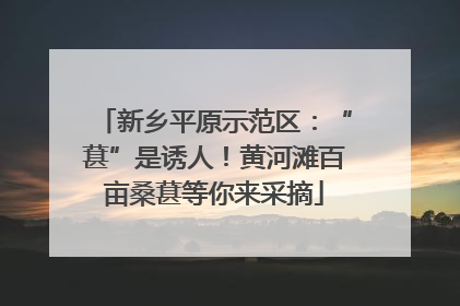新乡平原示范区：“葚”是诱人！黄河滩百亩桑葚等你来采摘