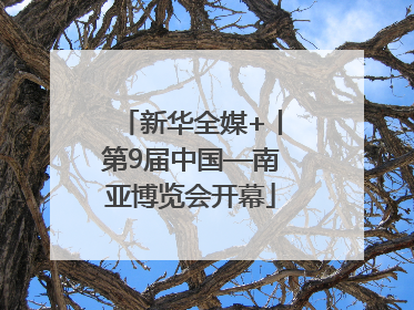 新华全媒+丨第9届中国—南亚博览会开幕