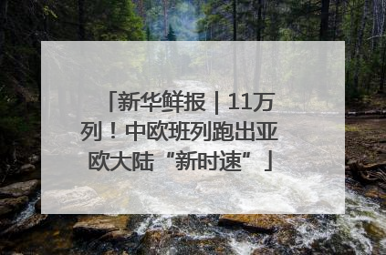 新华鲜报｜11万列！中欧班列跑出亚欧大陆“新时速”