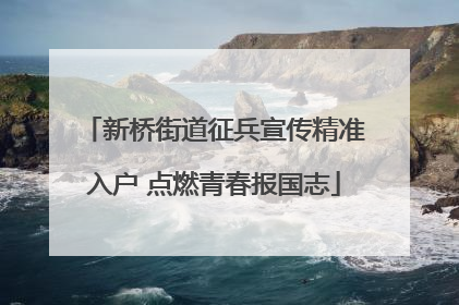 新桥街道征兵宣传精准入户 点燃青春报国志
