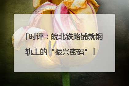 时评：皖北铁路铺就钢轨上的“振兴密码”
