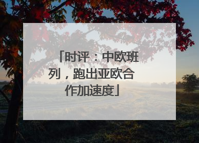 时评：中欧班列，跑出亚欧合作加速度