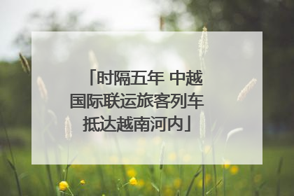 时隔五年 中越国际联运旅客列车抵达越南河内
