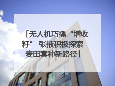 无人机巧播“增收籽” 张掖积极探索麦田套种新路径