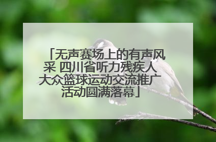 无声赛场上的有声风采 四川省听力残疾人大众篮球运动交流推广活动圆满落幕